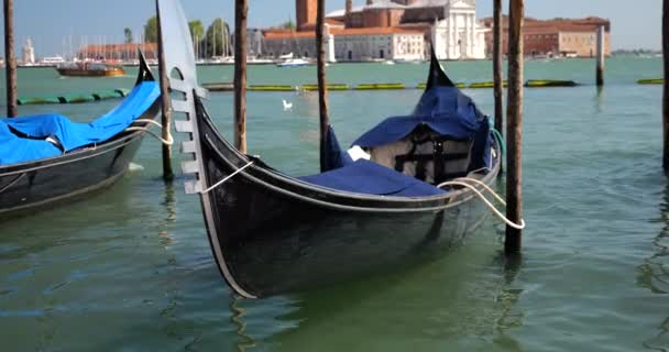 Гондолы Пришвартованные Блейнами Набережной Рива Дельи Скьявони Венеция Италия — стоковое видео
