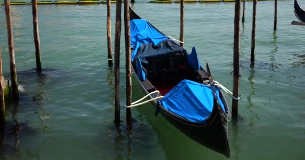 Gondola Ancorada Com Palinos Beira Mar Riva Degli Schiavoni Veneza — Vídeo de Stock