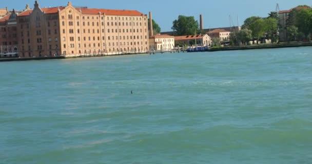 从船上看意大利威尼斯湖 — 图库视频影像