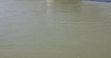 Petofi Köprüsü Budapeşte 'de Pest ve Buda' yı Tuna 'ya bağlayan bir köprüdür. Macaristan 'ın Budapeşte kentindeki en güneydeki ikinci halk köprüsü..