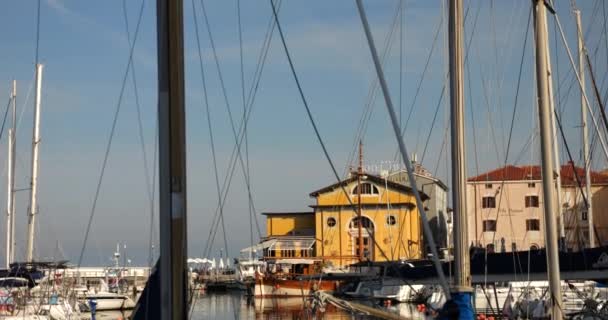 Barcos Veleros Muelle Del Puerto Piran Eslovenia Una Soleada Mañana — Vídeos de Stock