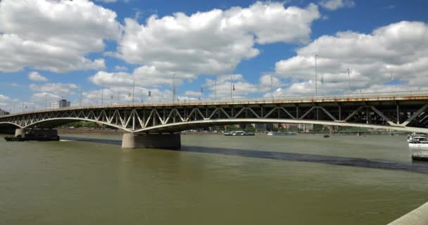 多瑙河 Petofi桥和匈牙利布达佩斯Buda河西岸景观 — 图库视频影像