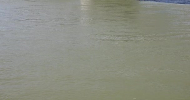 Мост Петофи Является Мостом Будапеште Соединяющим Пешт Буду Через Дунай — стоковое видео