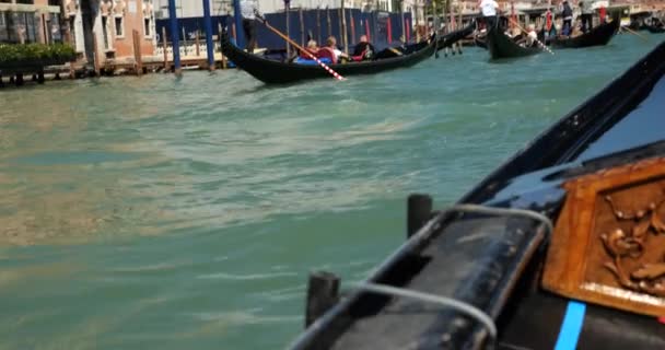 Подорож Лагуні Венеції Ясний Сонячний День Венеція Італія — стокове відео