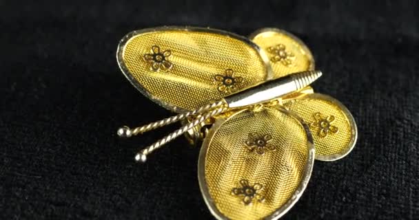 Vintage Butterfly Broche Draaiende Fluwelen Vitrine Pin Vlinder Met Gouden — Stockvideo
