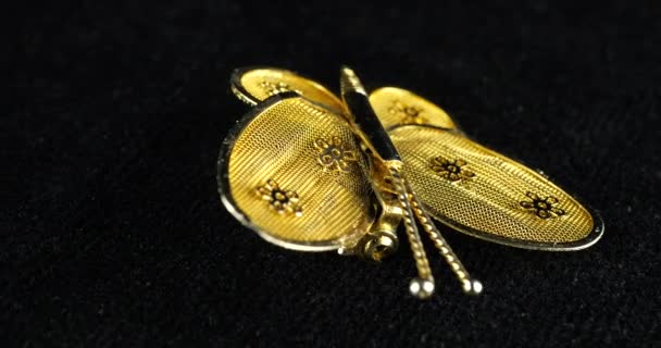 Vintage Butterfly Broszka Spinning Aksamitna Gablota Pin Motyl Złotym Tonem — Wideo stockowe