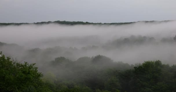 夕暮れ時の霧の中空のトップビュー — ストック動画
