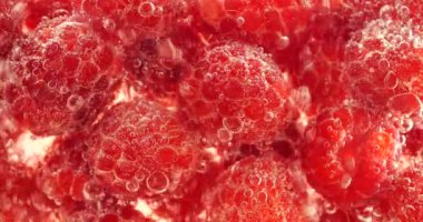 Hava kabarcıklarında suyun altında kırmızı ahududu. Rubus idaeus.