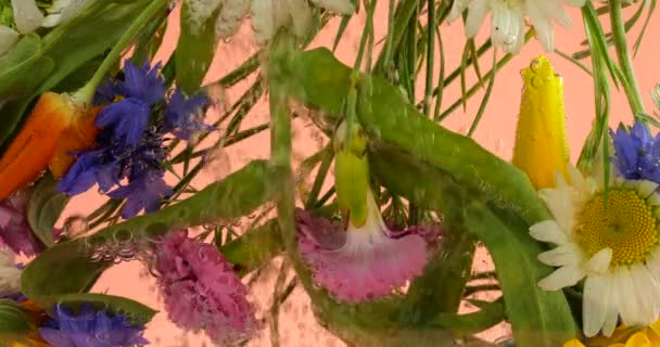 Fält Vilda Sommarblommor Vattnet Luftbubblor Kamomill Blåklint Gul Vallmo Nejlika — Stockvideo