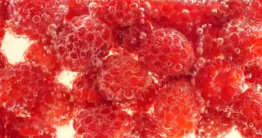 Hava kabarcıklarında suyun altında kırmızı ahududu. Rubus idaeus. Pembe bir arka planda.