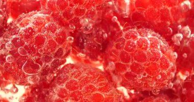 Hava kabarcıklarında suyun altında kırmızı ahududu. Rubus idaeus.