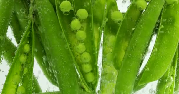 Vruchten Van Groene Erwten Onder Water Luchtbellen Vissen Sativum — Stockvideo