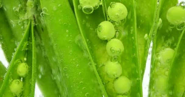 Frutos Guisantes Verdes Bajo Agua Burbujas Aire Pisum Sativum — Vídeos de Stock