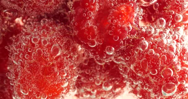 Framboesa Vermelha Abaixo Água Bolhas Rubus Idaeus Fundo Rosa — Vídeo de Stock