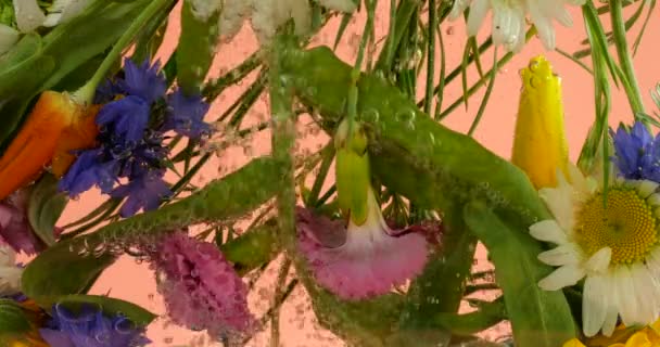 Padang Bunga Musim Panas Liar Bawah Air Dalam Gelembung Udara — Stok Video