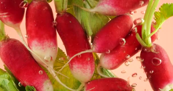 Frutta Ravanello Sotto Acqua Bolle Aria Uno Sfondo Rosa — Video Stock