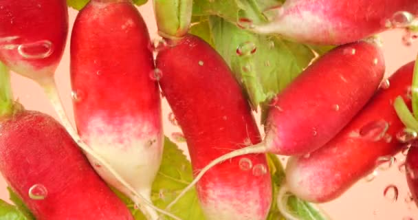Ředkvičky Plody Pod Vodou Vzduchových Bublinách Růžovém Pozadí — Stock video