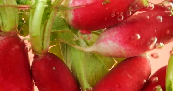 Ředkvičky Plody Pod Vodou Vzduchových Bublinách Růžovém Pozadí — Stock video