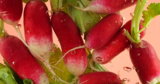 Owoce Rodzynki Pod Wodą Pęcherzykach Powietrza Różowym Tle — Wideo stockowe