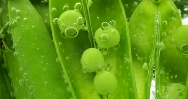 Fruits Green Peas Water Air Bubbles Pisum Sativum — Stock Video