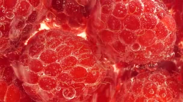 Rode Frambozen Onder Water Luchtbellen Rubus Idaeus — Stockvideo