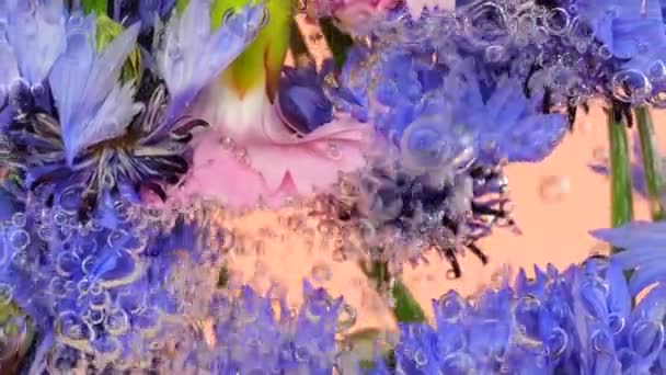野外野花在水下的空气气泡 玉米花 康乃馨 粉红的背景 — 图库视频影像