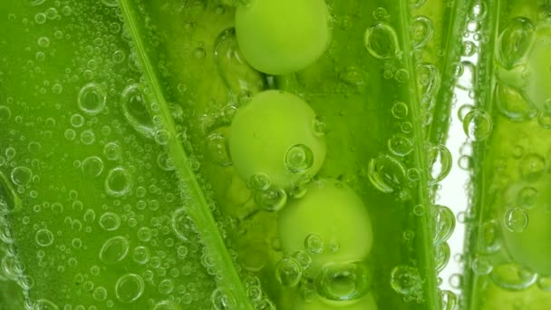Fruits Green Peas Water Air Bubbles Pisum Sativum — Stock Video