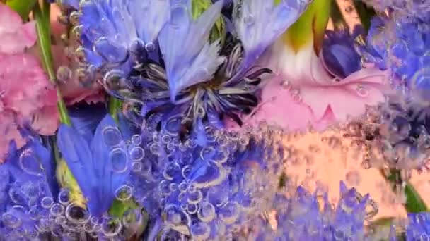 Αγροτεμάχιο Αγριολούλουδα Καλοκαίρι Υποβρύχια Φυσαλίδες Αέρα Άνθη Καλαμποκιού Γαρύφαλλο Ροζ — Αρχείο Βίντεο