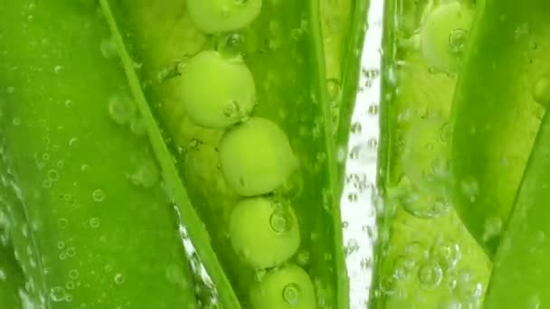 Frukter Gröna Ärtor Vatten Luftbubblor Pisum Sativum — Stockvideo
