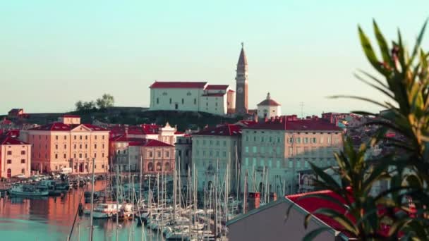 Widok Góry Rano Piran Dzwonnica Port Łodzi Słowenia — Wideo stockowe