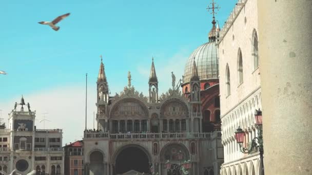 Mewy Przelatują Nad Piazza San Marco Widok Bazylikę San Marco — Wideo stockowe