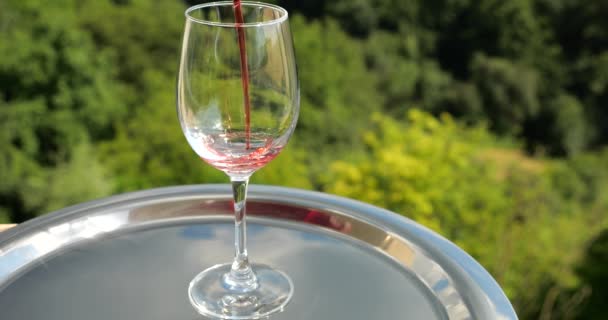 Червоне Вино Наливають Склянку Тлі Зеленого Літнього Лісу Повільний Рух — стокове відео