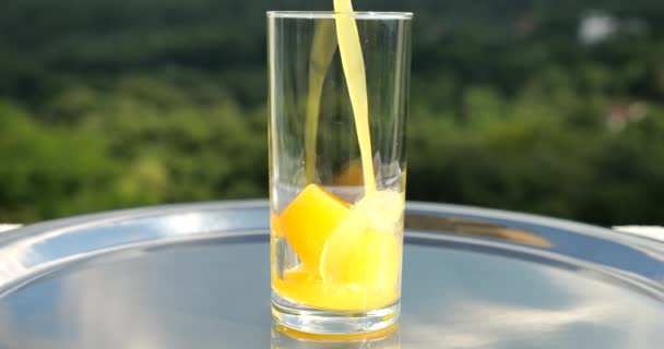 オレンジジュースは緑の夏の森の背景にオレンジジュースアイスとグラスに注ぎ込まれています スローモーション — ストック動画