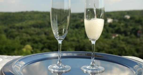 緑の夏の森の背景には シャンパンがグラスに注がれています スローモーション — ストック動画