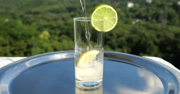 Lemonade Poured Glass Ice Lime Lemon Slices Backdrop Green Forest — Stock Video