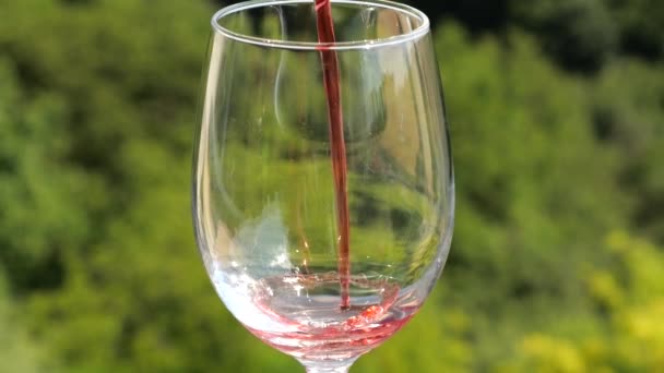 Vin Rouge Est Versé Dans Verre Sur Fond Une Forêt — Video