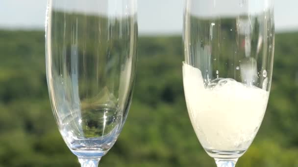 Šampaňské Nalévá Sklenic Pozadí Zeleného Letního Lesa Zpomalený Pohyb — Stock video