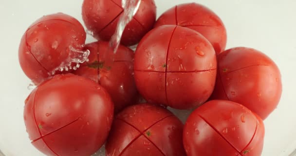 Het Blancheren Van Verse Rijpe Rode Tomaten Tomaten Worden Gebrand — Stockvideo