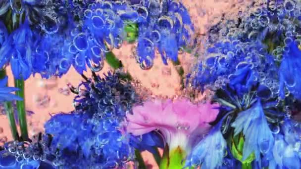 Feld Wilde Sommerblumen Unter Wasser Luftblasen Kornblumen Nelken Auf Rosa — Stockvideo