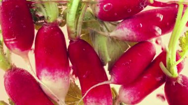 Su altında, hava kabarcıklarında turp meyveleri. Pembe bir arka planda.