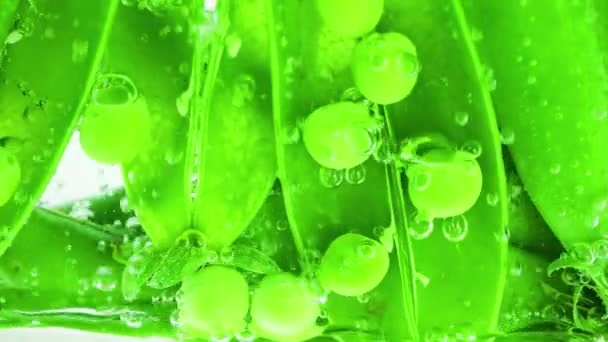 Früchte Grüner Erbsen Unter Wasser Luftblasen Pisum Sativum — Stockvideo