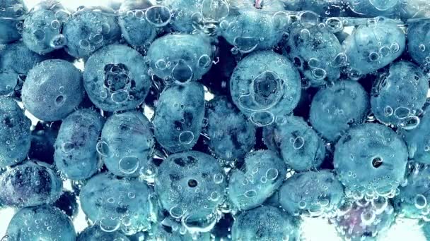 Bosbessen Onder Water Luchtbellen Vaccinium Uliginosum — Stockvideo