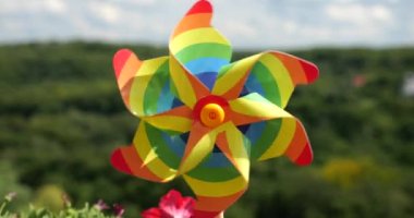 Balkon petunya çiçekleri arasında gökyüzü ve ormanın arka planına karşı gökkuşağı renklerinin fırıldağı. LGBT renk kavramı.