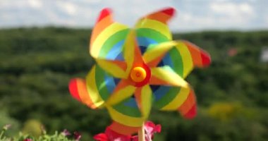 Balkon petunya çiçekleri arasında gökyüzü ve ormanın arka planına karşı gökkuşağı renklerinin fırıldağı. LGBT renk kavramı.