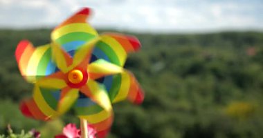 Balkon petunya çiçekleri arasında gökyüzü ve ormanın arka planına karşı gökkuşağı renklerinin fırıldağı. LGBT renk kavramı.