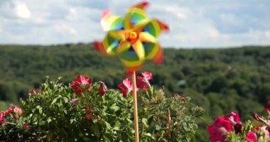 Balkon petunya çiçekleri arasında gökyüzü ve ormanın arka planına karşı gökkuşağı renklerinin fırıldağı. LGBT renk kavramı.