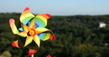 Ormanın ve gökyüzünün arka planına karşı gökkuşağı renginde bir fırıldak. LGBT renk kavramı.