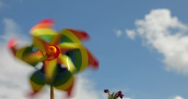 Pinwheel Colores Del Arco Iris Fondo Del Cielo Concepto Colores — Vídeo de stock
