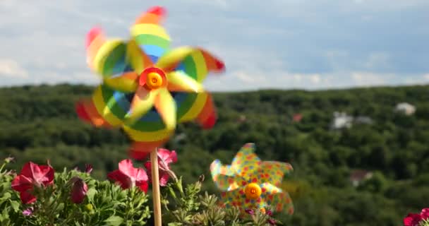 Pinwheel Kolorów Tęczy Wśród Kwiatów Petunii Balkon Tle Lasu Nieba — Wideo stockowe