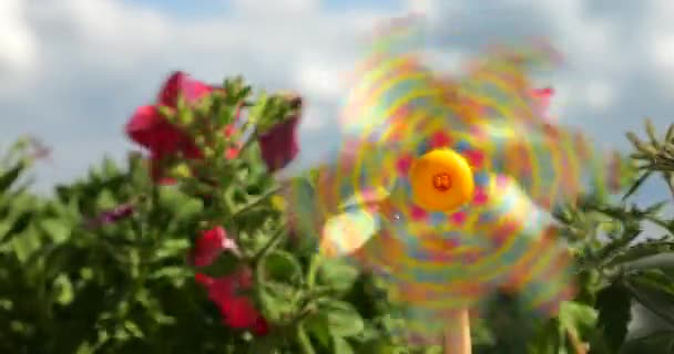 Větrník Barevnými Srdci Mezi Balkónem Petúnie Květiny Proti Obloze — Stock video